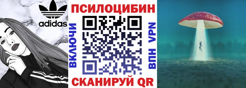 купить наркоту  мега tor  Псилоцибиновые грибы Magic Shrooms  Краснообск 